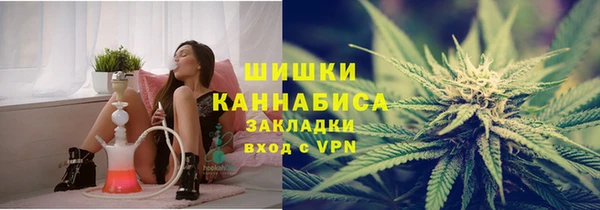 индика Алзамай