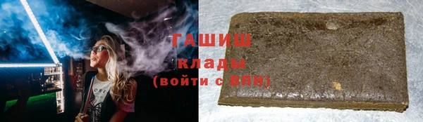 индика Алзамай