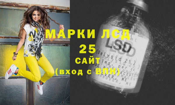 индика Алзамай