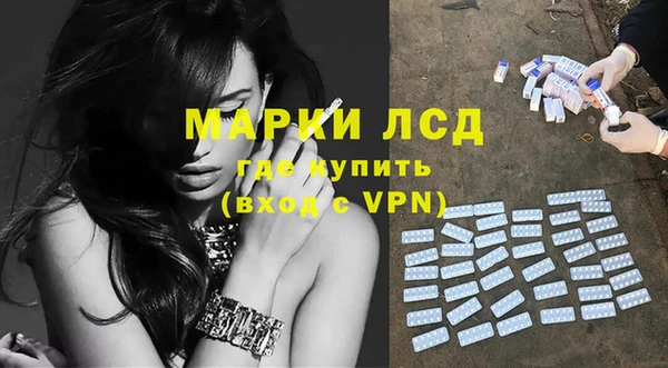 индика Алзамай