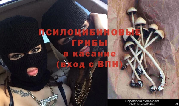 гидропоника Алексин