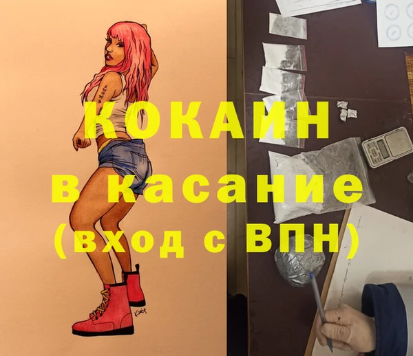 индика Алзамай