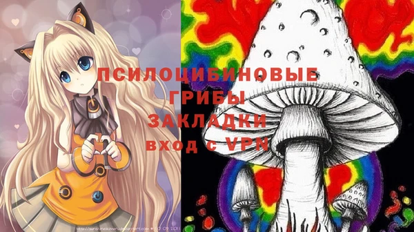 индика Алзамай
