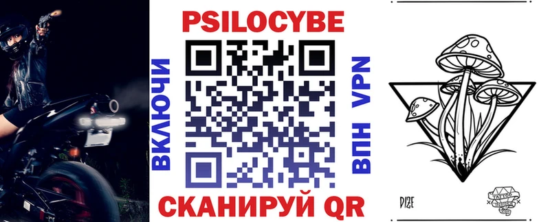 закладка Боготол Псилоцибиновые грибы Psilocybe