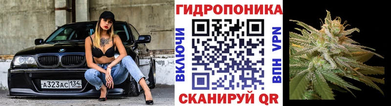 Бошки марихуана тримм  Боготол 